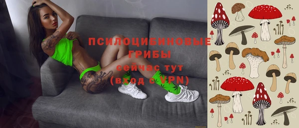 спиды Аркадак