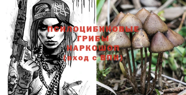 хмурый Протвино