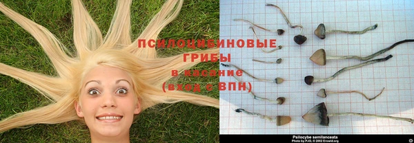 альфа пвп VHQ Арсеньев